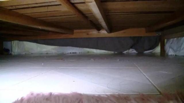 变态深夜藏在女主播床底遭发现，下跪求原谅：我喜欢你很久了