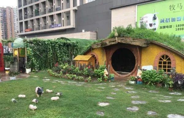 周末去哪儿？带娃去成都周边当个小小“农夫”吧！