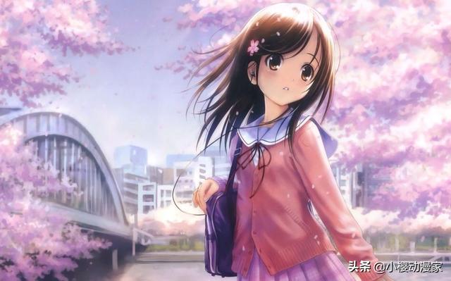 某女子花三十万整容，看完前后对比，终于明白宅男喜欢二次元原因