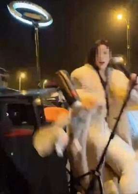 美女主播开车表演(女主播马路边直播，一司机被拘留)