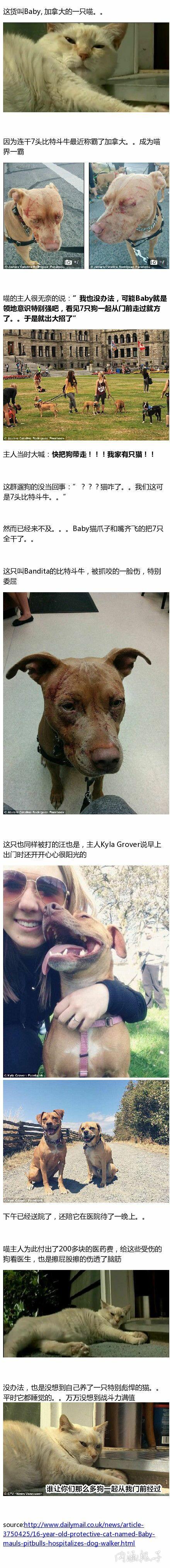 爆笑gif：第一次做水煮鳝鱼，场面有点控制不住！