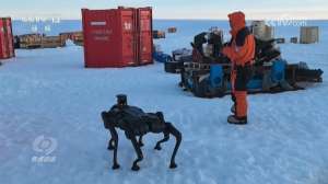 焦点访谈|南极科考40年:中国如何在极端环境中书写科研奇迹?