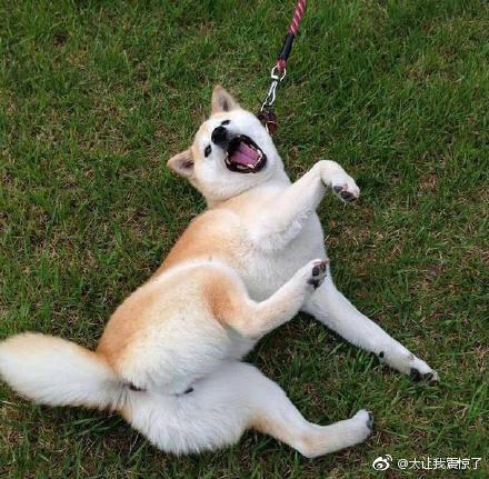 男子因领结婚证当天赖床，被未婚妻点燃裤裆烧伤