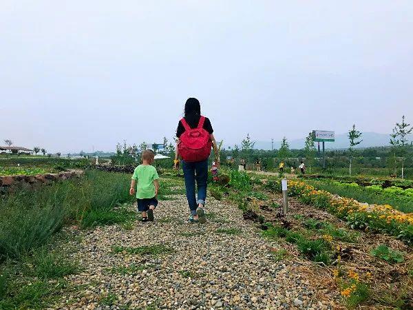 周末去哪儿？带娃去成都周边当个小小“农夫”吧！