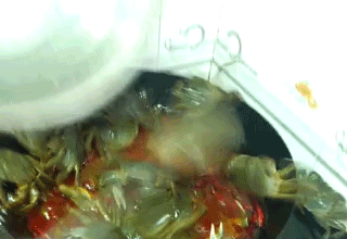 爆笑gif：第一次做水煮鳝鱼，场面有点控制不住！