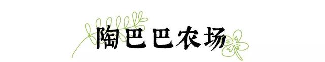 周末去哪儿？带娃去成都周边当个小小“农夫”吧！