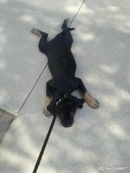 男子因领结婚证当天赖床，被未婚妻点燃裤裆烧伤