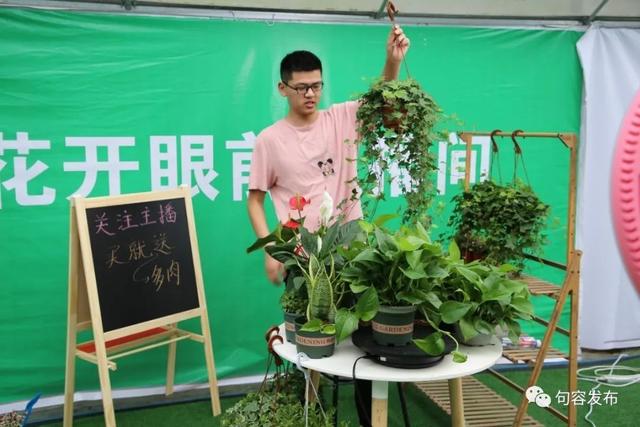 下单！买它！句容这个地方直播带货，销售火爆！