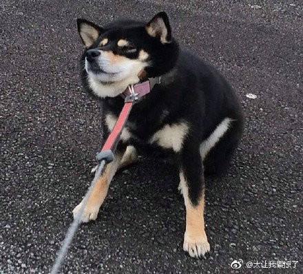 男子因领结婚证当天赖床，被未婚妻点燃裤裆烧伤