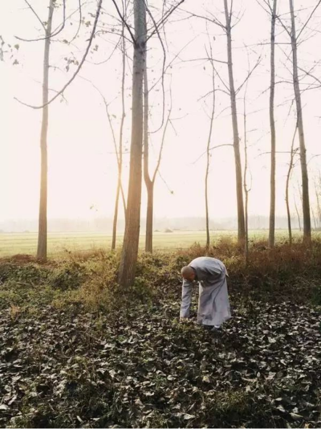 通缉犯“红桃5”：潜逃16年混成佛门高僧，袈裟中藏70万现金