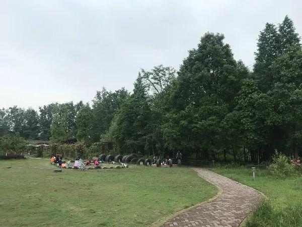 周末去哪儿？带娃去成都周边当个小小“农夫”吧！