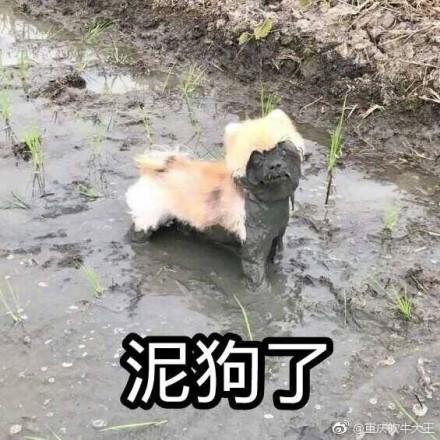 男子因领结婚证当天赖床，被未婚妻点燃裤裆烧伤