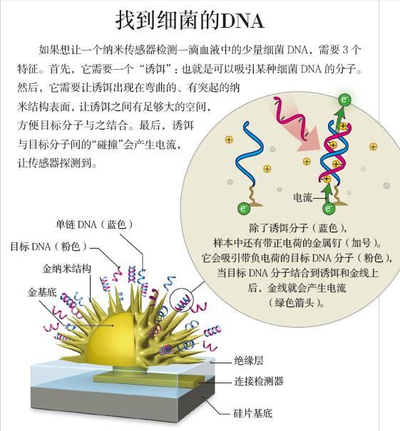 用纳米探针，20分钟检测出病原体