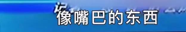 史上最单纯的女记者，但却为此社死一辈子