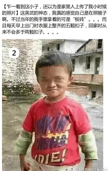 “小马云”回村吃饭直播：啃鸵鸟头鳄鱼肉！这太离谱了……