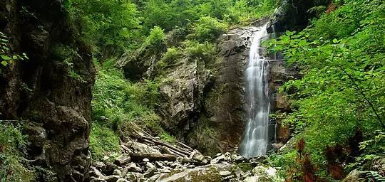 汉中有这么多国家级的自然保护区，你知道几个？