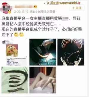 女主播琪琪 下载(又一直播APP涉黄涉赌尺度令人咋舌)
