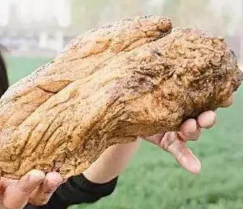 史上最单纯的女记者，但却为此社死一辈子