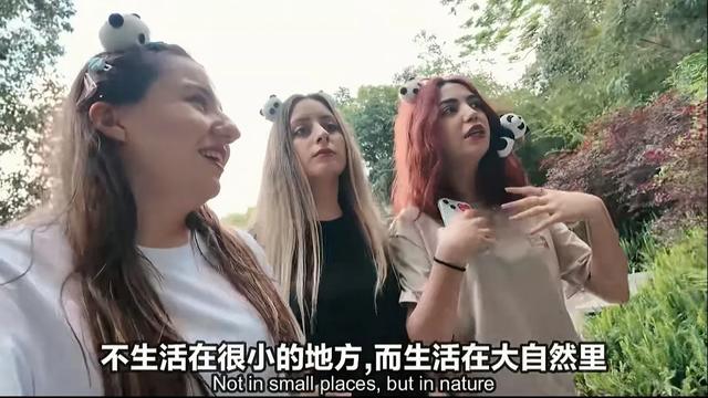 汪汪和玛利亚带兰娜夏娃看大熊猫搭帐篷，激动热舞，羡慕川美蜀乐