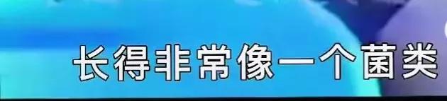 史上最单纯的女记者，但却为此社死一辈子