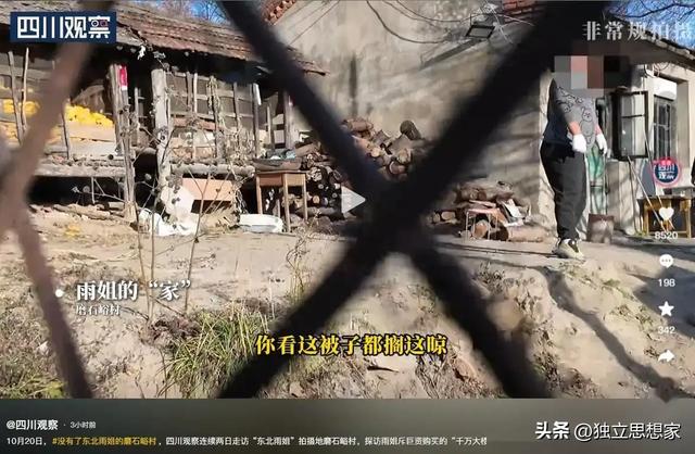 后续！东北雨姐最新近况：常年雇人干活，村民评价两极分化严重