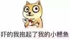 不忍直视!大妈快手直播吃金鱼、吞灯泡...警方已介入调查