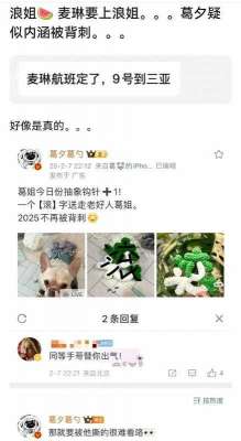 女主播喵姐姐(葛夕发文讽刺麦琳抢自己的《浪姐6》名额，前夫直播帮腔，好抓马)