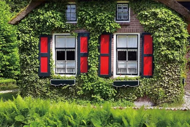 “时光隧道”的入口 可能就藏在这几座荷兰北部的小城｜人间指南