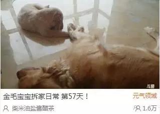 骗子!我开了直播并没有挣到钱!