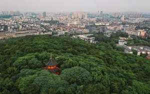 网络女主播打野战(还有比这更劲爆的吗?一对男女森林中野战,却被指挥中心直播调侃)