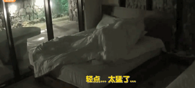 韩国大尺度真人秀！男女混住，太会玩了