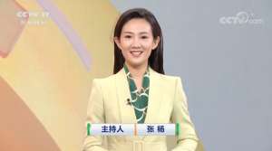 江苏新闻眼女主播张杨(张杨首秀央视)