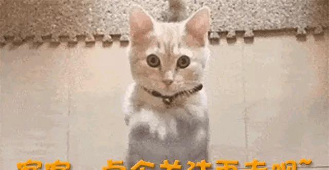 姜萍爆火后，网友眼尖发现她脸颊有北斗七星痣，是妥妥文曲星下凡