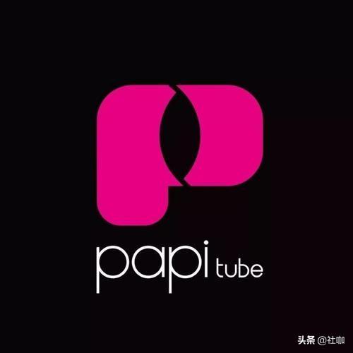 MCN公司排名前十