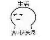 知名女主持自爆患斑秃，头顶空出一块头皮……网友纷纷晒同款