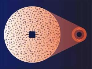 yy女主播夏娜大尺度(用纳米探针,20分钟检测出病原体)