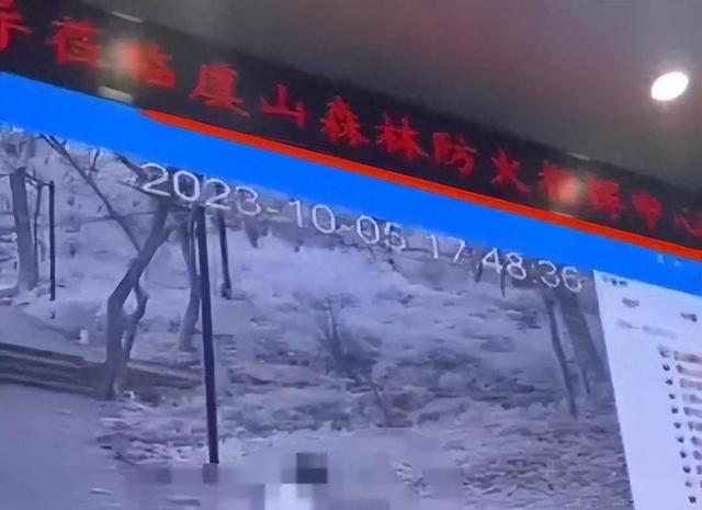 还有比这更劲爆的吗？一对男女森林中野战，却被指挥中心直播调侃