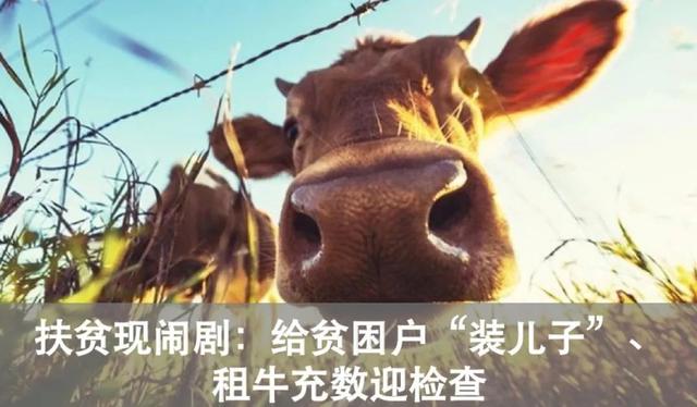 斗鱼一姐陈一发儿：成也是嘴，败也是嘴