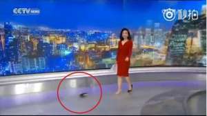 央视女主播掉鞋(央视主播掉鞋淡定主持 脚很美网友爱上其淡定系中国骄傲)