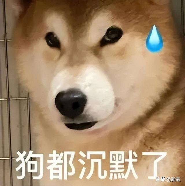 古早网红uu和异性好友合照被嘴碎,回怼:难道我还要守孝三年?