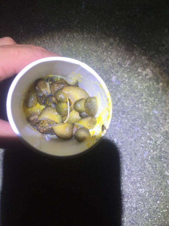 小池塘玩直播，教你怎么用可乐瓶抓黄鳝