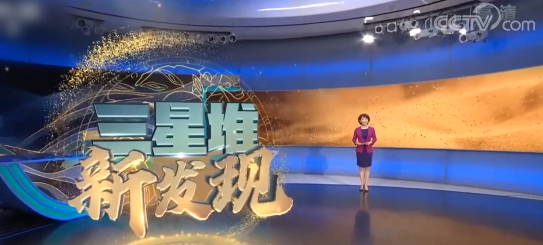 “央视才女”劳春燕:敬一丹的接班人!却因名字屡次被造谣去世