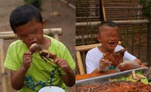 马小云女主播 下载(“小马云”回村吃饭直播:啃鸵鸟头鳄鱼肉这太离谱了……)