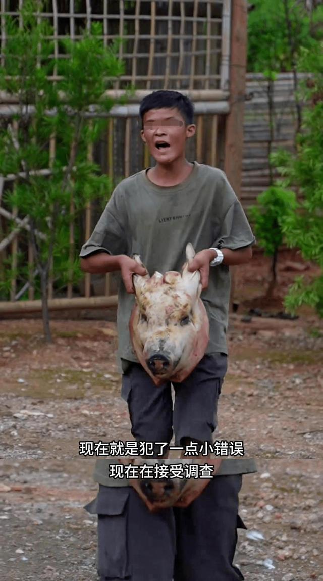 “小马云”回村吃饭直播：啃鸵鸟头鳄鱼肉！这太离谱了……