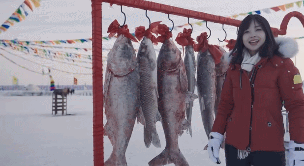 一夜涨粉200W,最美央视女主播王冰冰是什么来头?