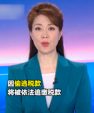 央视主持文静长发出镜播新闻,变化大被赞太漂亮,曾戴假短发多年