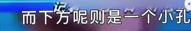 史上最单纯的女记者，但却为此社死一辈子