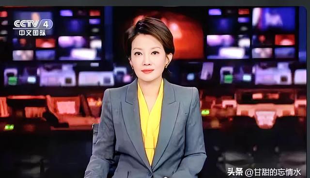 央视中文国际频道:十位新闻美女主播的风采与魅力