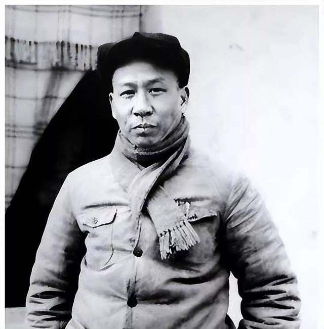 中俄混血女主持：刘丽达，用才华与美貌架起中俄友谊桥梁