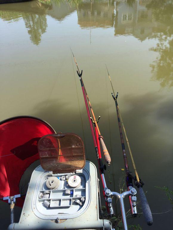小池塘玩直播，教你怎么用可乐瓶抓黄鳝